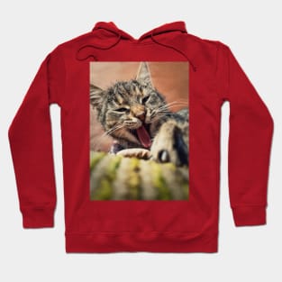 yawning cat Hoodie